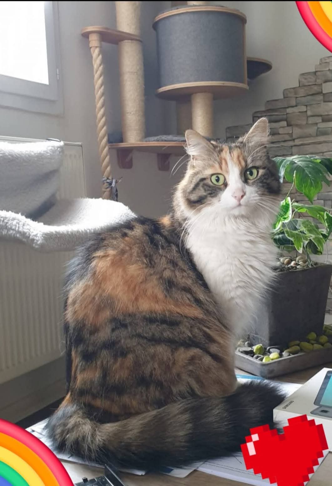 PRINCESSE – Image 2